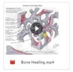 DNB MS Orthopaedics Master Course Theory and Practical